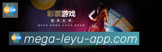 未来规划